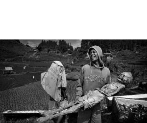 île de Sulawesi, l’art de déterrer les morts