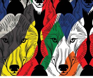 Des chasseurs à Nassogne