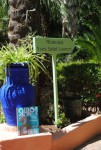 Dans les Jardins Majorelle Marrakech