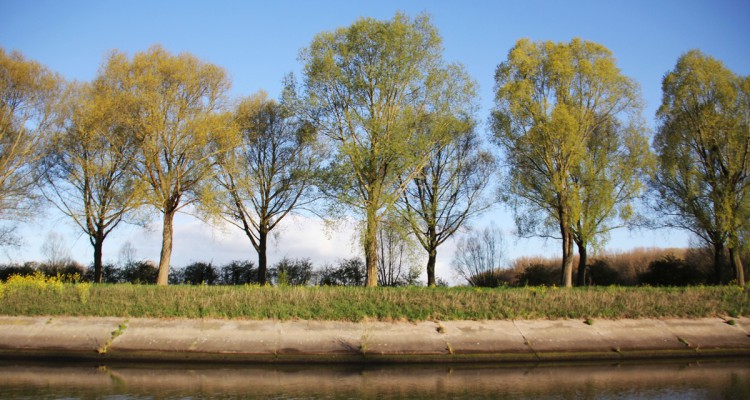 Les passagers de la route bleue